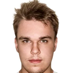 А.В. Ребриков
